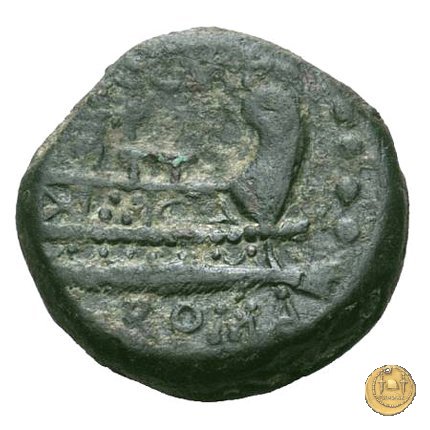 240/3 - triente C. Curiatius Trigeminus filius 135 BC (Roma)