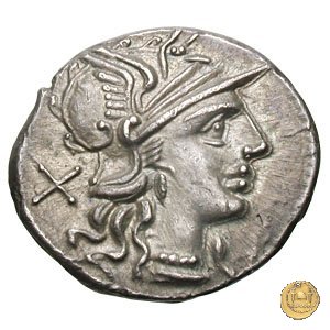 241/1 - denario L. Trebanius 135 a.C. (Roma)