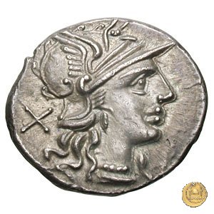 241/1 - denario L. Trebanius 135 BC (Roma)