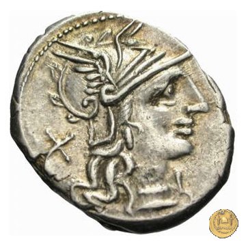 241/1 - denario L. Trebanius 135 BC (Roma)