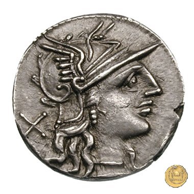 241/1 - denario L. Trebanius 135 BC (Roma)