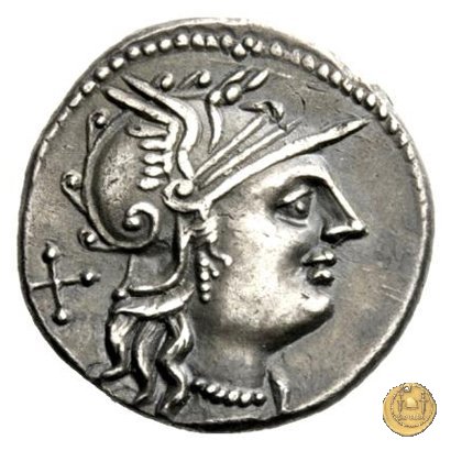 241/1 - denario L. Trebanius 135 BC (Roma)