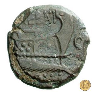 241/2 - semisse L. Trebanius 135 a.C. (Roma)