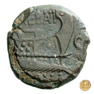 241/2 - semisse L. Trebanius 135 BC (Roma)