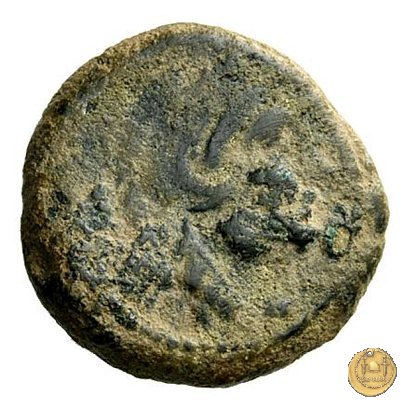 241/4 - quadrante L. Trebanius 135 BC (Roma)