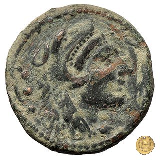 241/4 - quadrante L. Trebanius 135 BC (Roma)