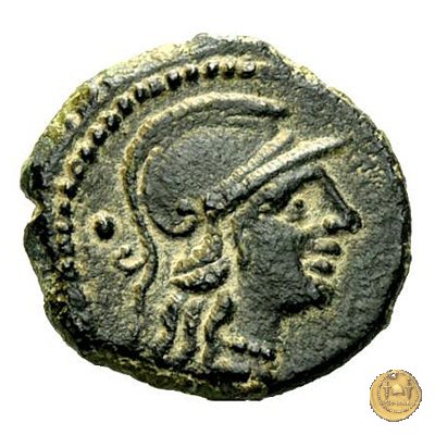 (241) - oncia L. Trebanius 135 BC (Roma)