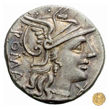 242/1 - denario C. Minucius Augurinus 135 BC (Roma)