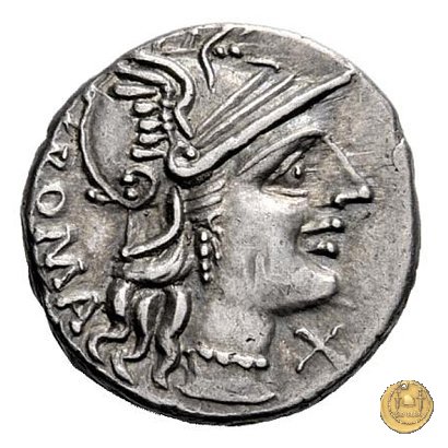 242/1 - denario C. Minucius Augurinus 135 BC (Roma)