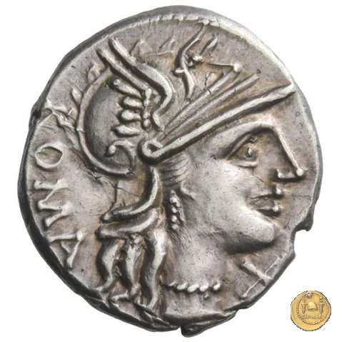 242/1 - denario C. Minucius Augurinus 135 BC (Roma)