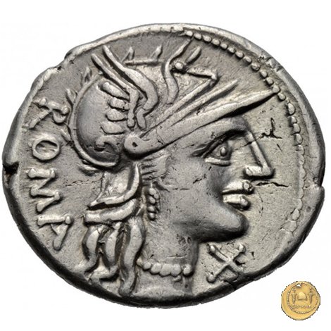 242/1 - denario C. Minucius Augurinus 135 BC (Roma)