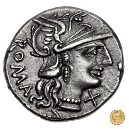 242/1 - denario C. Minucius Augurinus 135 BC (Roma)