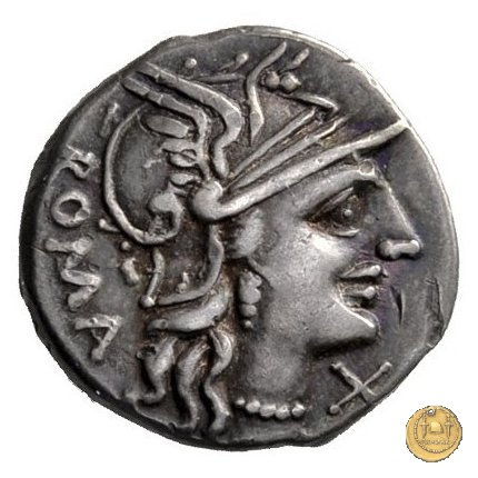 242/1 - denario C. Minucius Augurinus 135 BC (Roma)