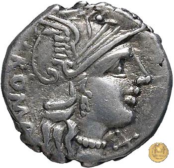 242/1 - denario C. Minucius Augurinus 135 BC (Roma)