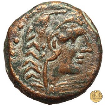 242/4 - quadrante C. Minucius Augurinus 135 BC (Roma)