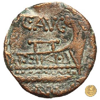 242/4 - quadrante C. Minucius Augurinus 135 BC (Roma)