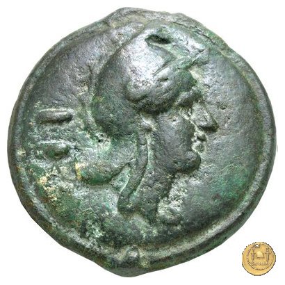 24/2 265-242 BC (Roma)