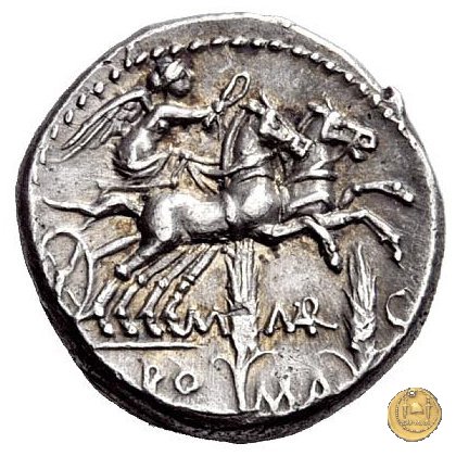 245/1 - denario M. Marcius Mn.f. 134 BC (Roma)