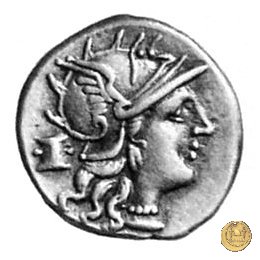 245/1 - denario M. Marcius Mn.f. 134 BC (Roma)