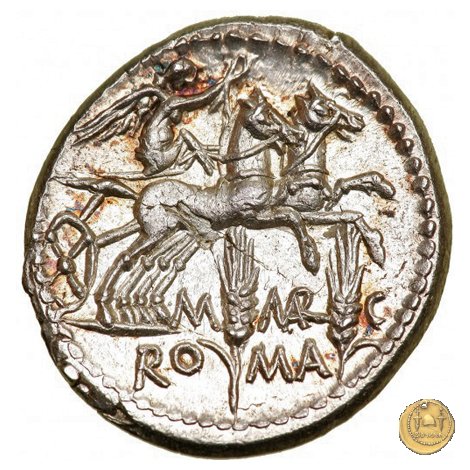 245/1 - denario M. Marcius Mn.f. 134 BC (Roma)