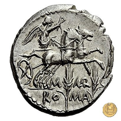 245/1 - denario M. Marcius Mn.f. 134 BC (Roma)