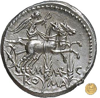 245/1 - denario M. Marcius Mn.f. 134 BC (Roma)