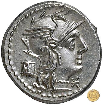 245/1 - denario M. Marcius Mn.f. 134 BC (Roma)