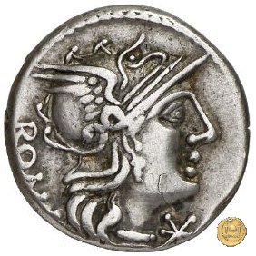 246/1 - denario C. Numitorius 133 BC (Roma)