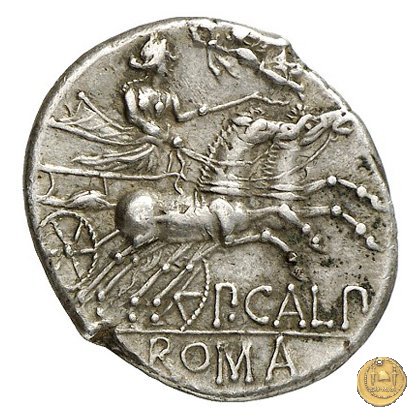 247/1 - denario P. Calpurnius 133 BC (Roma)