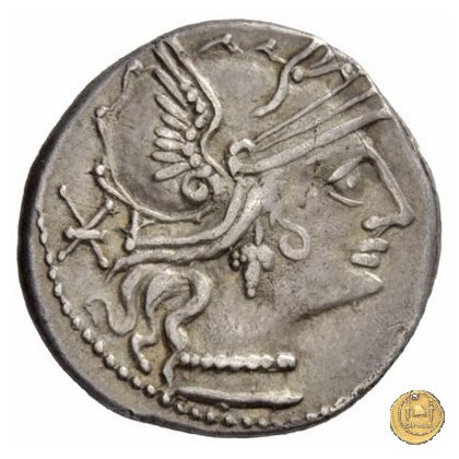 247/1 - denario P. Calpurnius 133 BC (Roma)