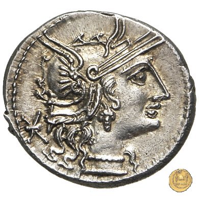 248/1 - denario L. Minucius 133 BC (Roma)