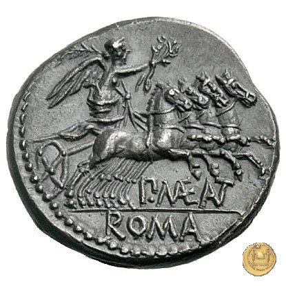 249/1 - denario P. Maenius Antiaticus M.f. 132 BC (Roma)