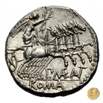 249/1 - denario P. Maenius Antiaticus M.f. 132 BC (Roma)