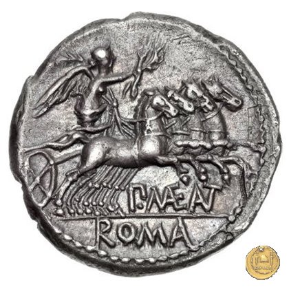 249/1 - denario P. Maenius Antiaticus M.f. 132 BC (Roma)