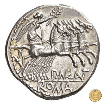 249/1 - denario P. Maenius Antiaticus M.f. 132 BC (Roma)