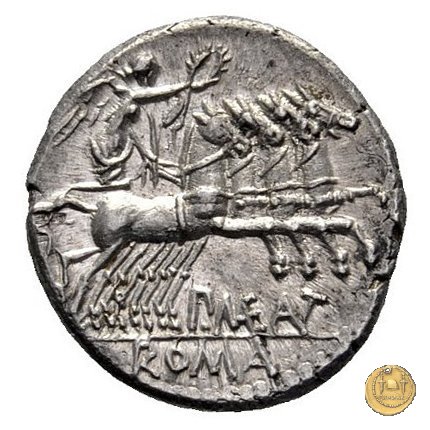 249/1 - denario P. Maenius Antiaticus M.f. 132 BC (Roma)