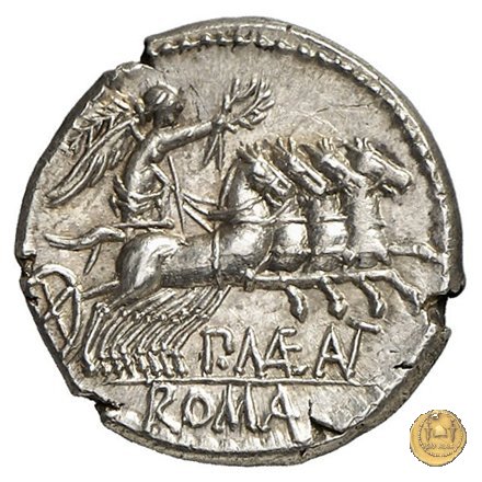 249/1 - denario P. Maenius Antiaticus M.f. 132 BC (Roma)