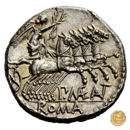 249/1 - denario P. Maenius Antiaticus M.f. 132 BC (Roma)