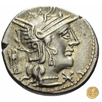 254/1 - denario M. Opimius 131 BC (Roma)