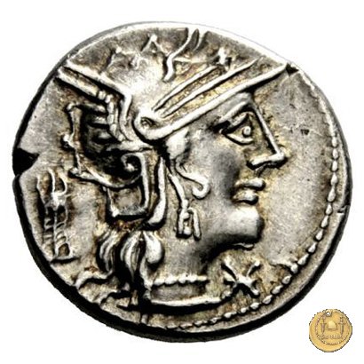 254/1 - denario M. Opimius 131 BC (Roma)