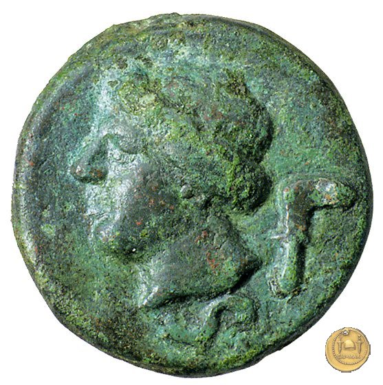 25/5 241-235 BC (Roma)