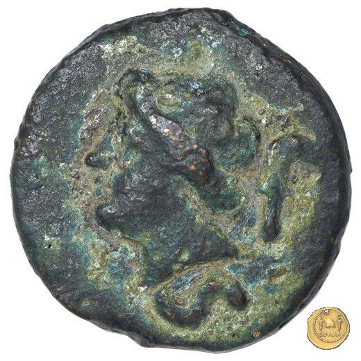 25/5 241-235 BC (Roma)