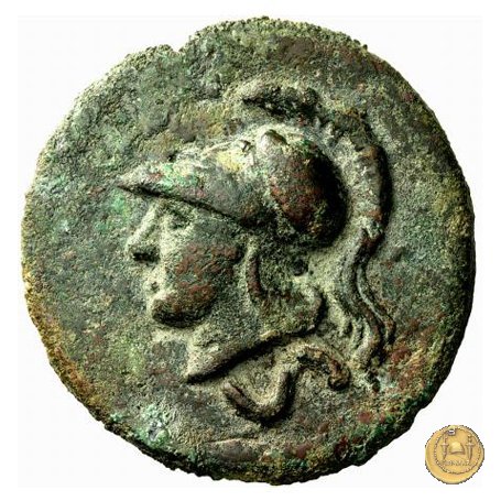 25/5 241-235 BC (Roma)