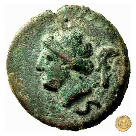 25/5 241-235 BC (Roma)