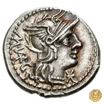 257/1 - denario M. Vargunteius 130 BC (Roma)