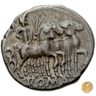 257/1 - denario M. Vargunteius 130 BC (Roma)