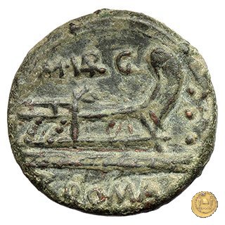 257/4 - quadrante M. Vargunteius 130 BC (Roma)