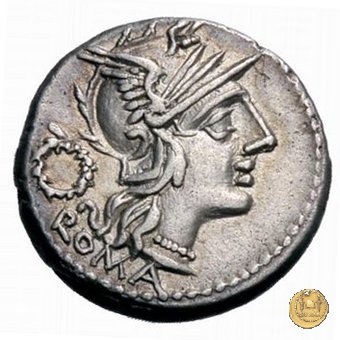 260/1 - denario T. Cloelius (Cloulius) 128 BC (Roma)