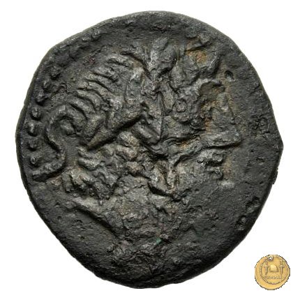 262/2 - semisse L. Caecilius Q.f.Q.n. Metellus Diadematus 128 BC (Roma)