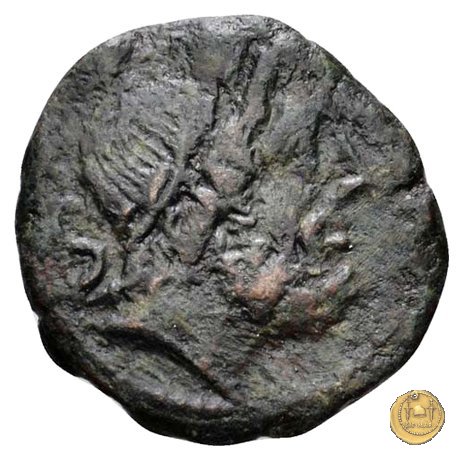 262/2 - semisse L. Caecilius Q.f.Q.n. Metellus Diadematus 128 BC (Roma)